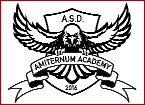 LogoAmiternum2